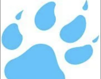 Big win for Bears; mixes results for Hornets